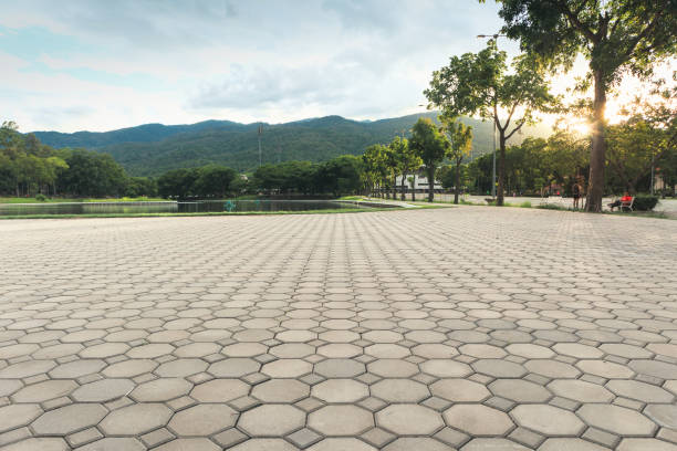 Best Affordable Driveway Pavers  in Forest Ranch, CA
